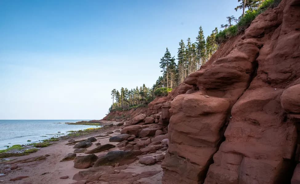 Prince Edward Island обновил список работодателей для программы атлантической иммиграции — кто может подать и на что стоит обратить внимание
