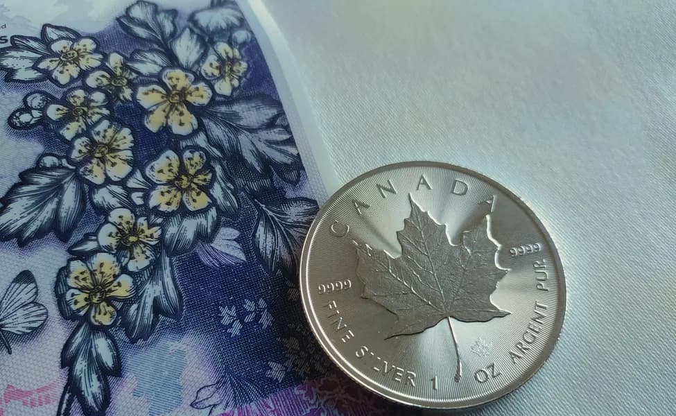 Сколько зарабатывают иммигранты в Канаде: что показывает новая аналитика от Статистики Канады