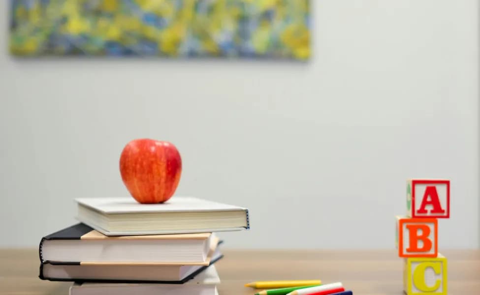 Канадская система образования: что нужно знать иммигрантам?