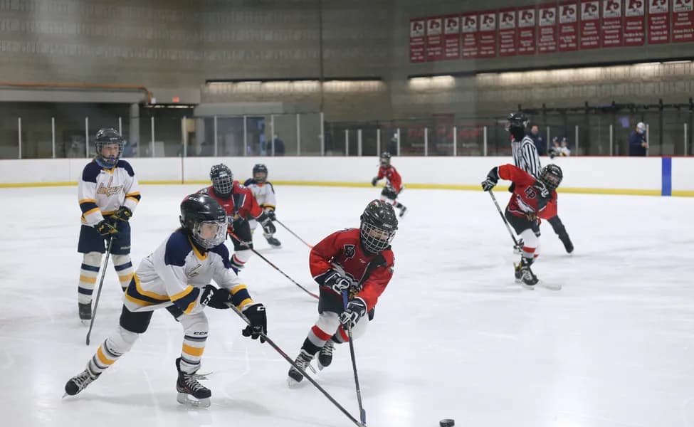 Любительский спорт в Канаде: как записаться в секции и клубы взрослым и детям