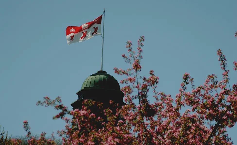 Четыре канадских университета вошли в топ-100 мира по версии QS 2026: McGill опережает Торонто