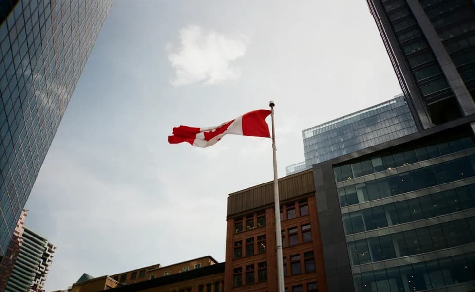 Как получить выплаты по страхованию занятости (EI), если вас уволили в Канаде