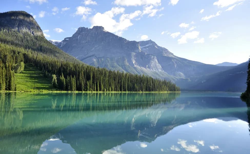 Новый языковой тест для иммиграции в Канаду: что изменится для будущих заявителей