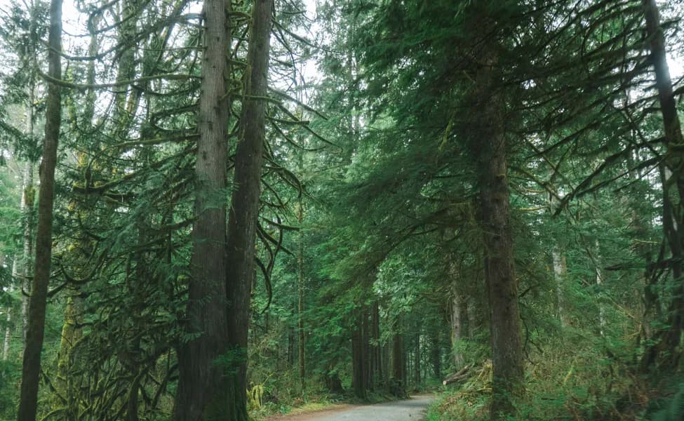 Обзор новостей, Среда 27 Августа