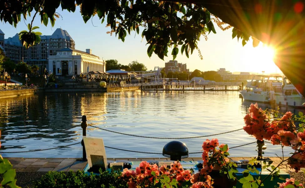 Обзор новостей, Пятница 22 Августа