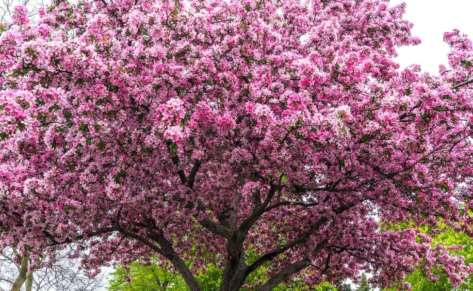 Обзор новостей, Суббота 17 Мая